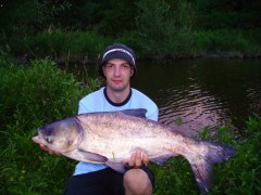 Kliknutím fotografii zvětšíte Tolstík 75cm (2005)