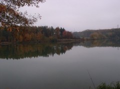 Kliknutím fotografii zvětšíte Rokytná 3A