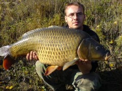 Kliknutím fotografii zvětšíte Labe Kapr 76 cm 9 kg
