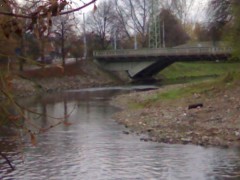 Kliknutím fotografii zvětšíte moje reka