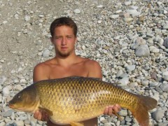Kliknutím fotografii zvětšíte Kapor 12kg