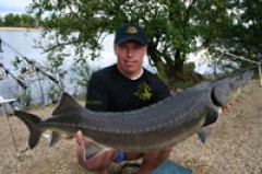 Kliknutím fotografii zvětšíte jeseter 12 kg