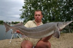 Kliknutím fotografii zvětšíte Jeseter 12,5 kg