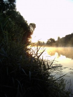 Kliknutím fotografii zvětšíte Nad Berounkůůů svítááá:-)