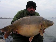 Marcel :Adacs 11/2006