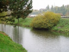 Kliknutím fotografii zvětšíte