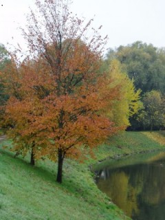 Kliknutím fotografii zvětšíte