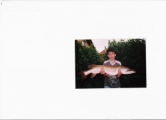 Kliknutím fotografii zvětšíte stika