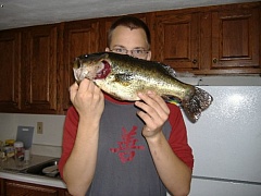 47cm Bass