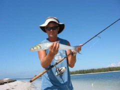 ja a lady fish na Fort De Soto,FL