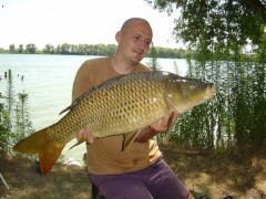 L�to P�d 2006
