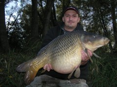 Labe podzim 2006
