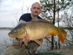 �t�t 2005