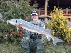 Kliknutím fotografii zvětšíte Jeseter rusky 126cm 12kg
