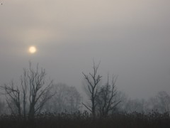 Kliknutím fotografii zvětšíte Ráno