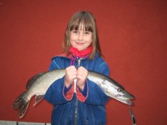 �tika
