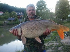 Kliknutím fotografii zvětšíte Kapr 90 cm (cca12,5 kg)