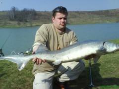Kliknutím fotografii zvětšíte Jeseter 9.5 kg 125cm