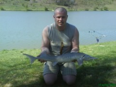 ,,,, Nahled