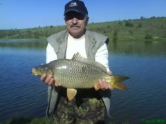 Kekin 62cm