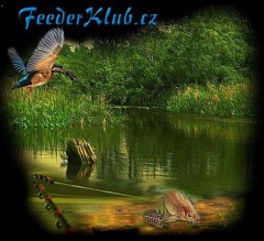 feeder klub