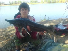 Kliknutím fotografii zvětšíte jeseter 97cm grunty 19.04.07