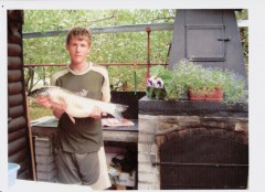 Kliknutím fotografii zvětšíte amur 75cm