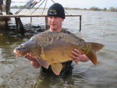 Kliknutím fotografii zvětšíte Kapr 88cm 16kg