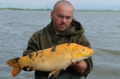 Marcel :Adacs 05/2007