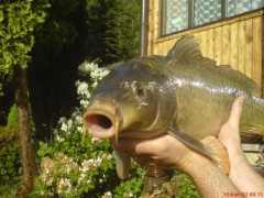 Kliknutím fotografii zvětšíte OHŘE 2007