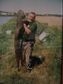 Kliknutím fotografii zvětšíte sumec