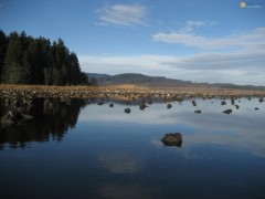 Kliknutím fotografii zvětšíte lipno