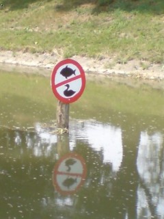 Kliknutím fotografii zvětšíte ???