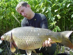 Kliknutím fotografii zvětšíte Kapor 9,5 kg 2006