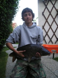 kapr 70cm