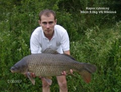 VN Mik�ov� 80cm_9kg