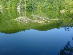 Ruzin