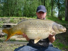 Kliknutím fotografii zvětšíte 84cm - 12,6kg