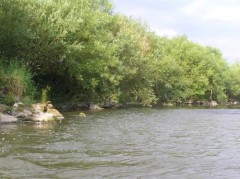 Kliknutím fotografii zvětšíte Hornád nad Sp. Vlachmi 2