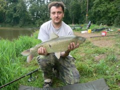 Kliknutím fotografii zvětšíte Amur 71cm