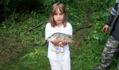 Kliknutím fotografii zvětšíte okounek 37