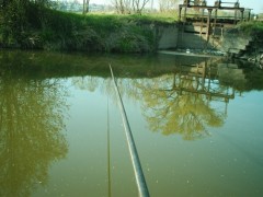 d�lka1
