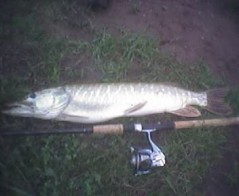 Vymobilovan� �tika 2