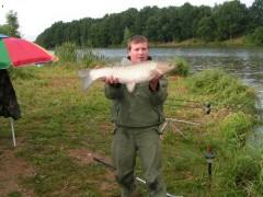 amur 82 cm