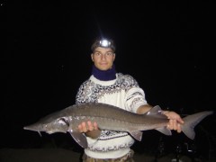 jeden z mnoha kolem 115 cm
