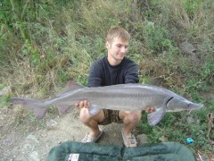 M�j osob��ek jesetera 134cm 14,5kg