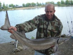 Martin se sv�m jeseterem