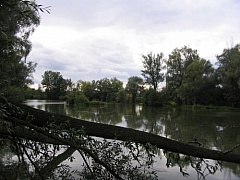 Babice 1