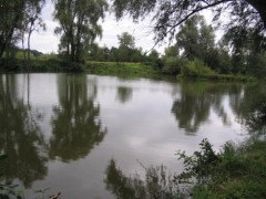 Babice 1