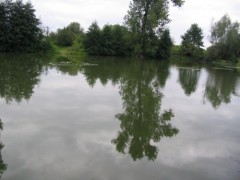 Babice 1